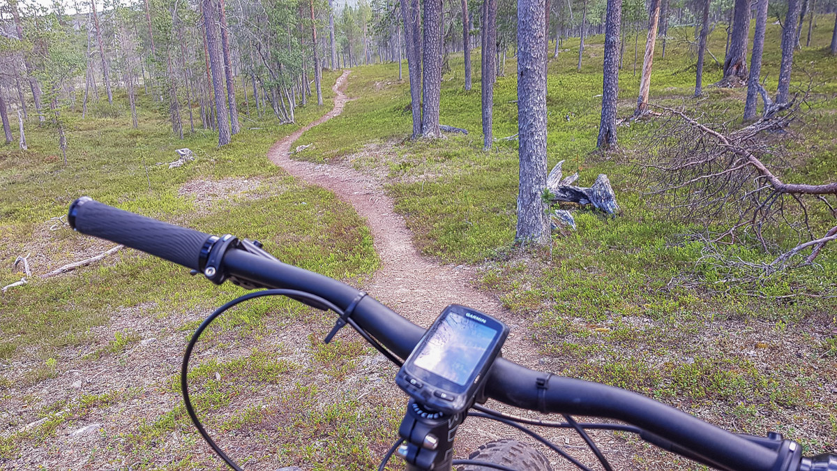 Mukavaa polkua välillä Vellinsärpimä-Taajoslaavu.